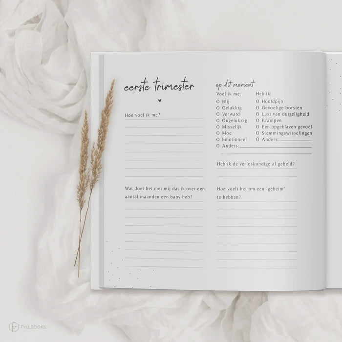 Fyllbooks Mijn 9 maanden dagboek - Beige