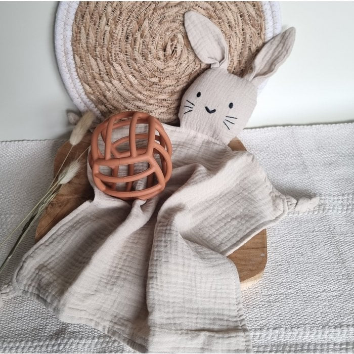 Siliconen flexibele motoriek bal - Roest