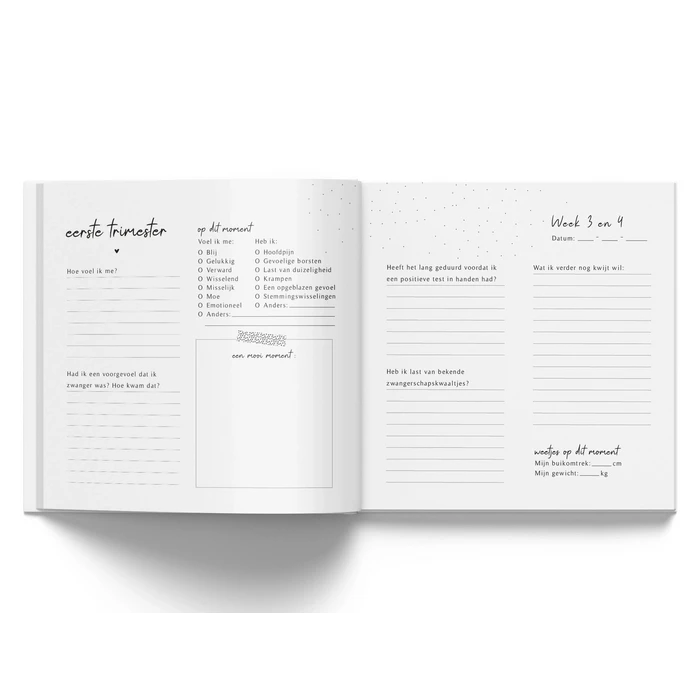 Fyllbooks Mijn 9 maanden dagboek - Beige