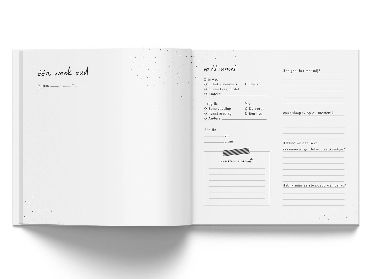 Mijn eerste jaar babyboek - Jungle